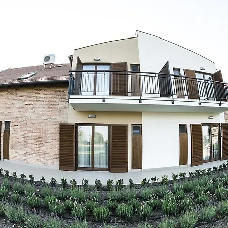 勒温杜拉酒店 Algyo