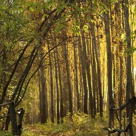 酒店 勒温杜拉酒店