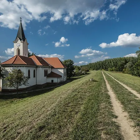 Levendula Algyő